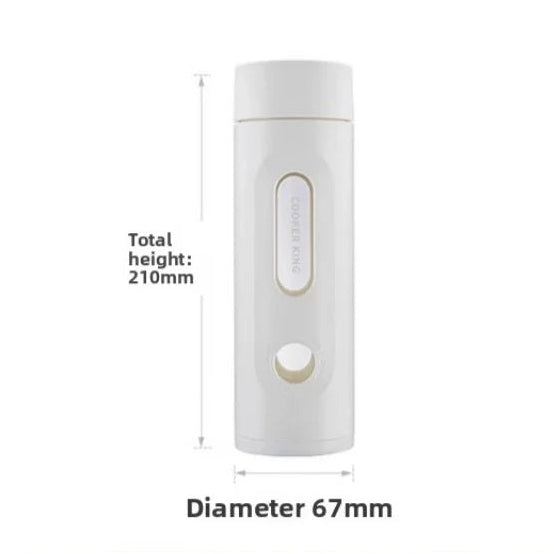 CrystalGuard Borosilicate Glass Water Bottle with Tea Infuser | Hot and Cold